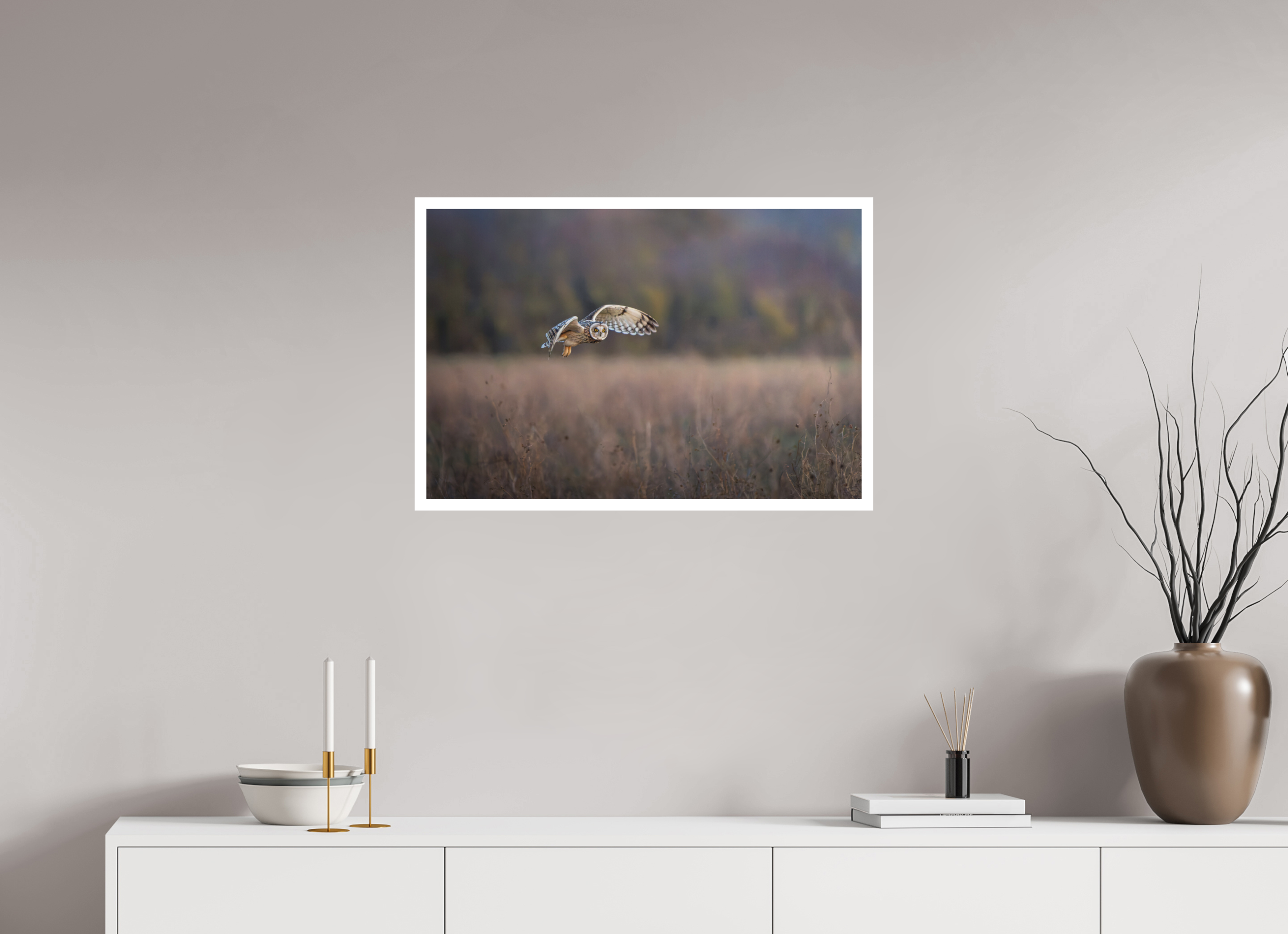 75 x 50 cm, Fine art print + 2cm border Dusky Owl