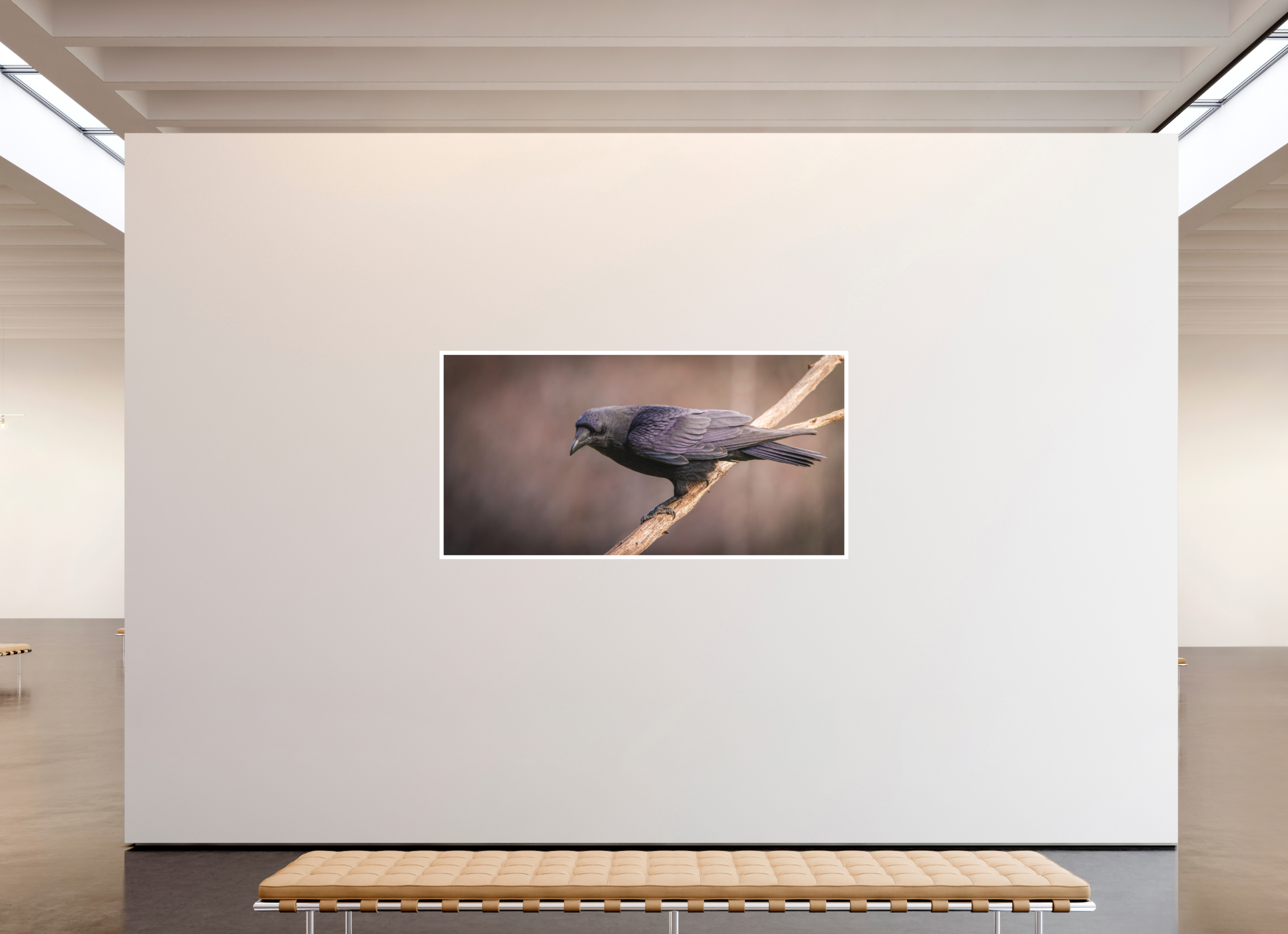 200 x 100 cm, Fine art print + 2cm border The man in black