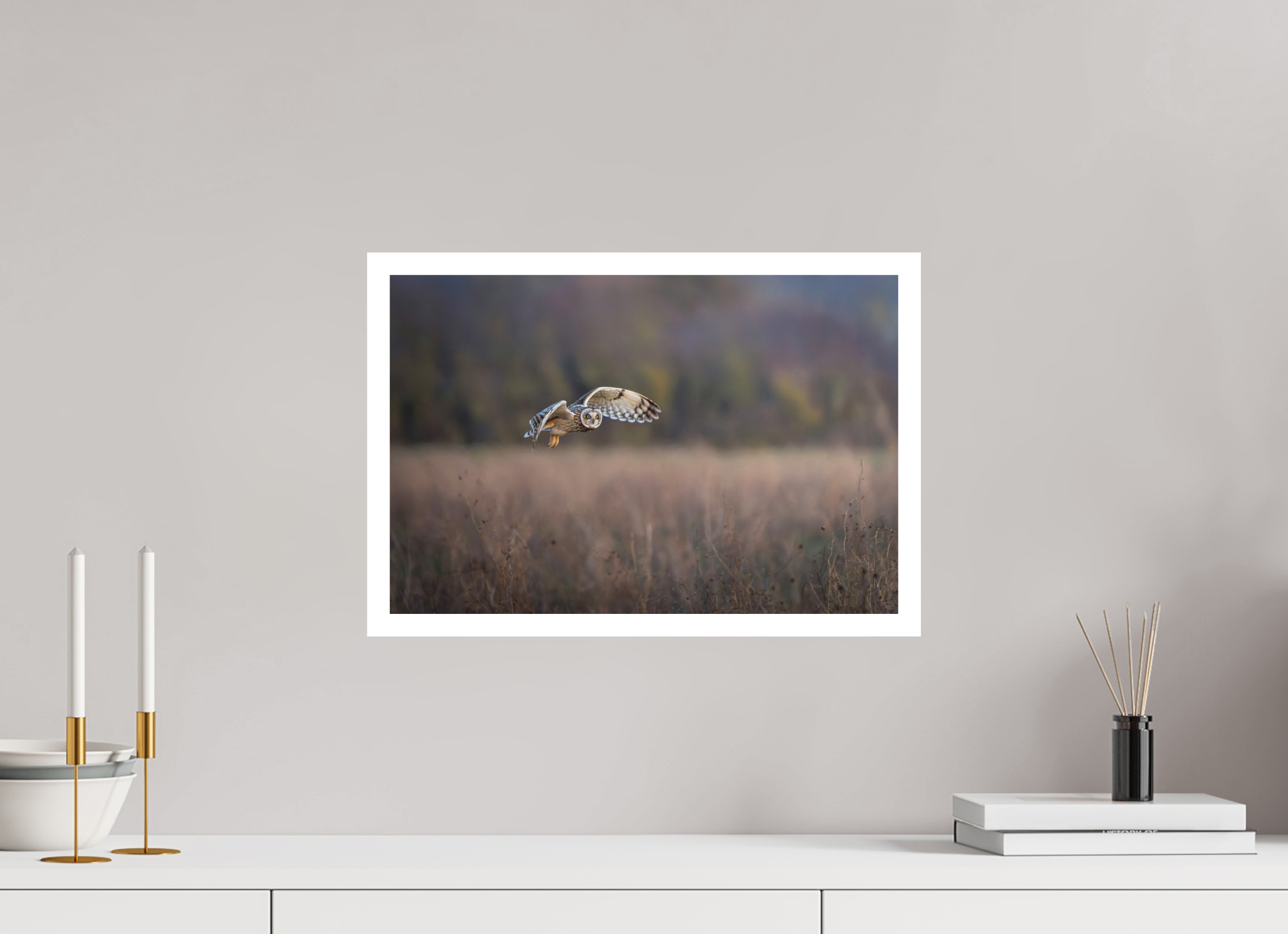 45 x 30 cm, Fine art print + 2cm border Dusky Owl