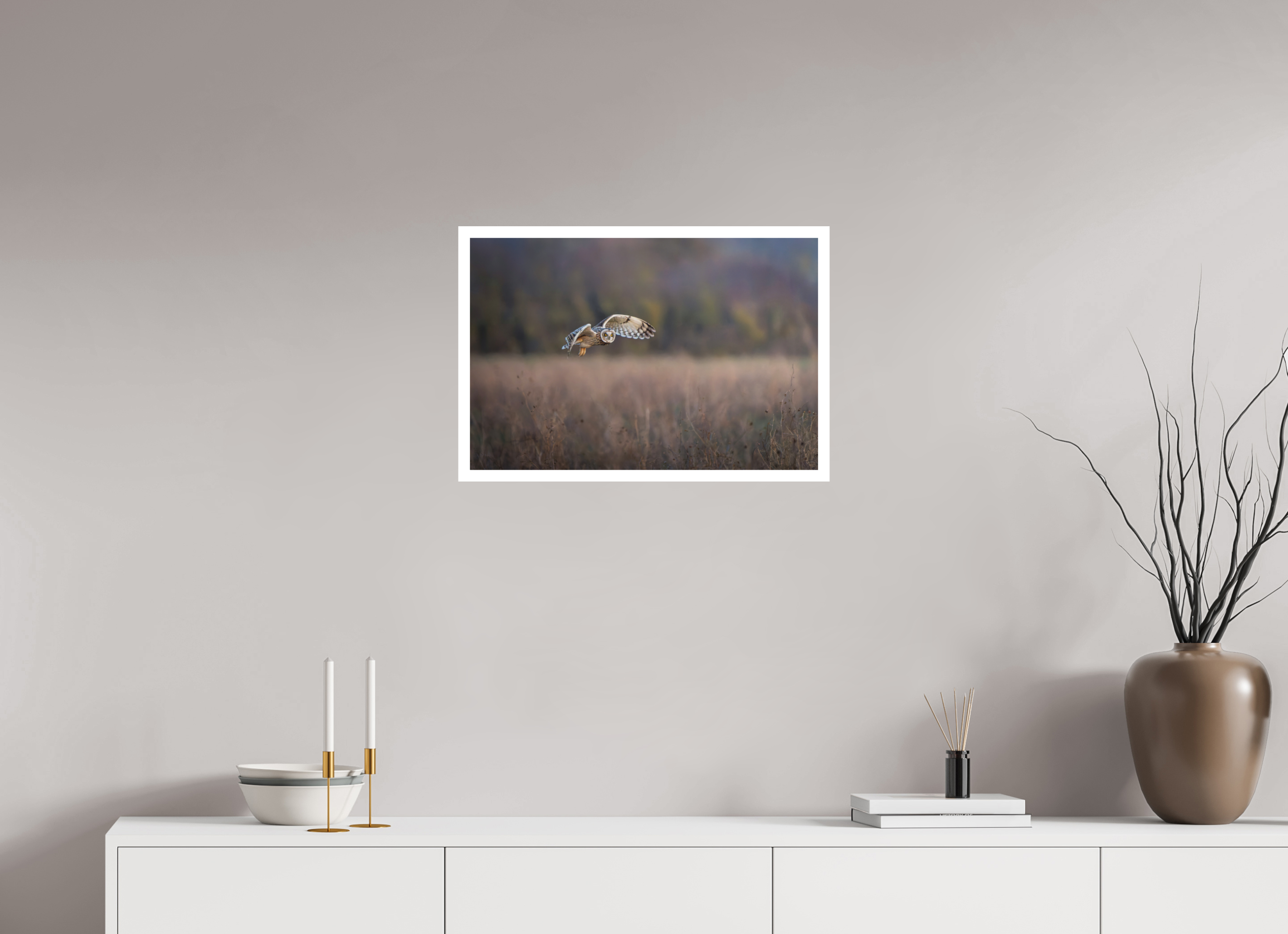 60 x 40 cm, Fine art print + 2cm border Dusky Owl