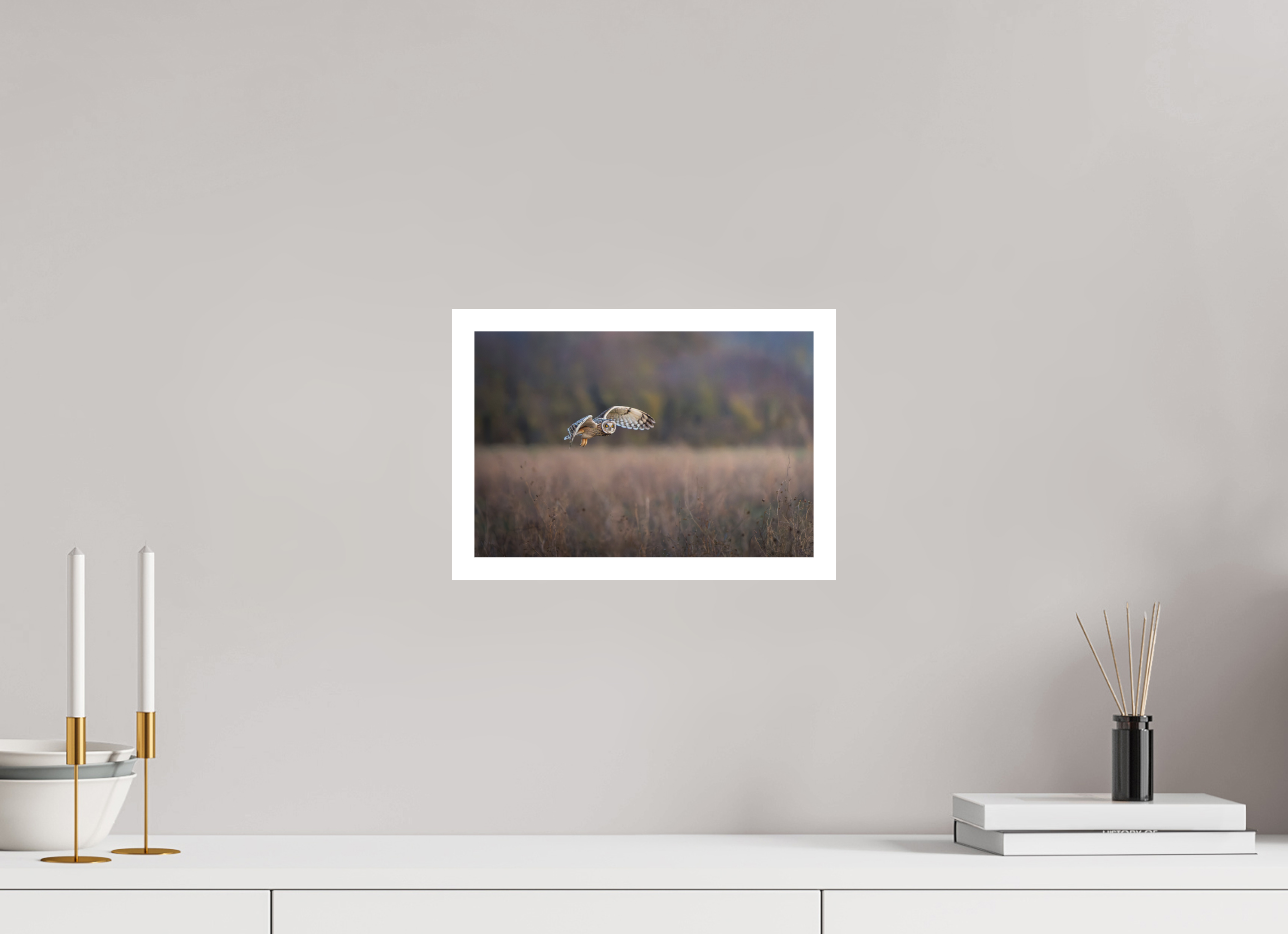 30 x 20 cm, Fine art print + 2cm border Dusky Owl